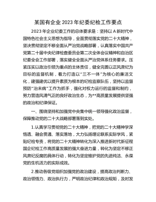 国企公司2023年纪委纪检工作要点（6方面23条）