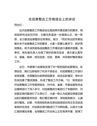 在巡察整改工作推进会上的讲话2600字