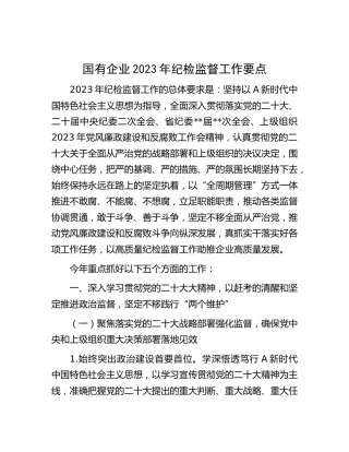 国企公司2023年纪检监督工作要点