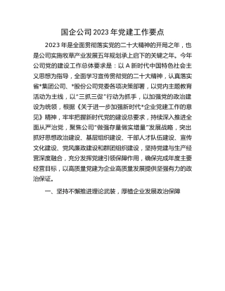 国企公司2023年党建工作要点
