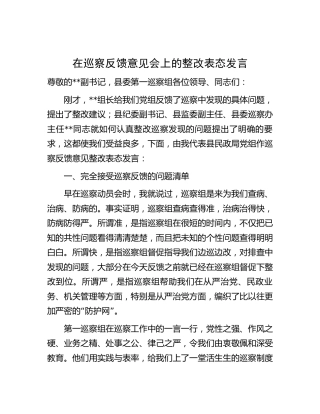 在巡察反馈意见会上的整改表态发言（民政2000字）
