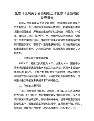生态环境局关于巡视（巡察）工作生态环境领域的自查报告