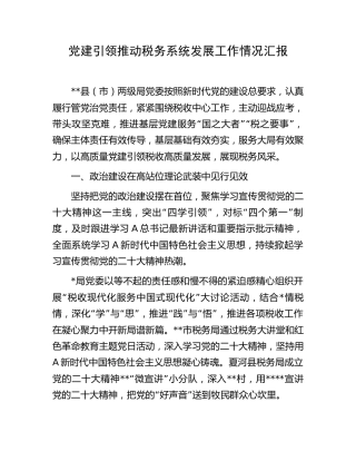 党建引领推动税务系统发展工作情况汇报