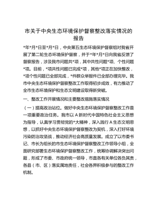 生态环境保护督察整改落实情况报告（市）