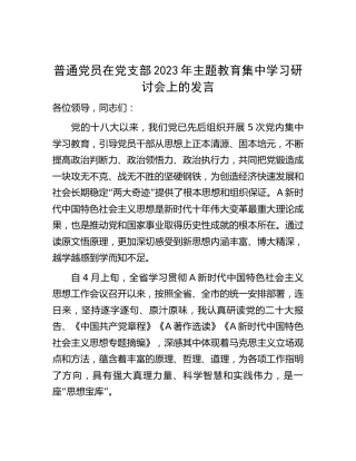 普通党员在支部2023年主题教育集中学习研讨会上的发言