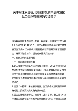 关于对江永县桃川洞名特优新产品开发区党工委巡察情况的反馈意见