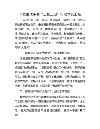 发改系统“三抓三促”行动情况汇报