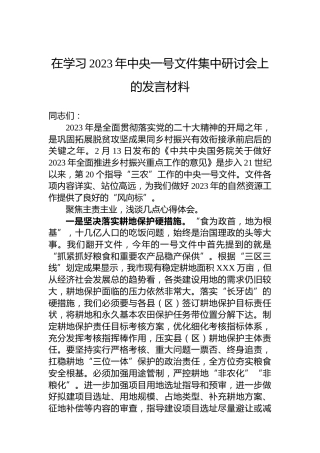 在学习2023年一号文件集中研讨会上的研讨发言