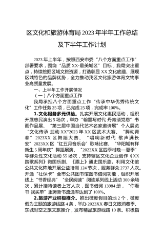 区文化和旅游体育局2023年半年工作总结及下半年工作计划