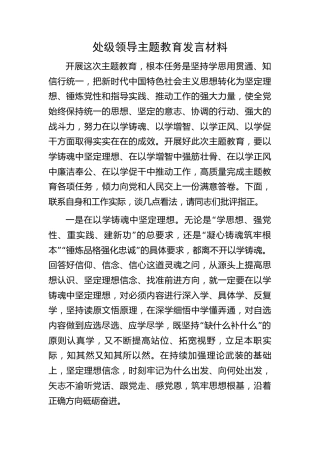 处级领导主题教育发言材料1