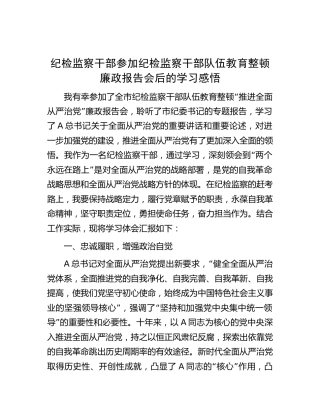 参加纪检监察干部队伍教育整顿廉政报告会后的心得体会（研讨）