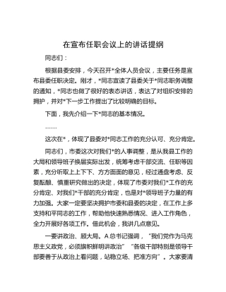 在宣布任职会议上的讲话