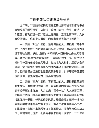 年轻干部队伍建设经验材料