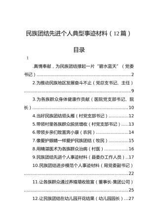 民族团结先进个人典型事迹12篇（简练版）