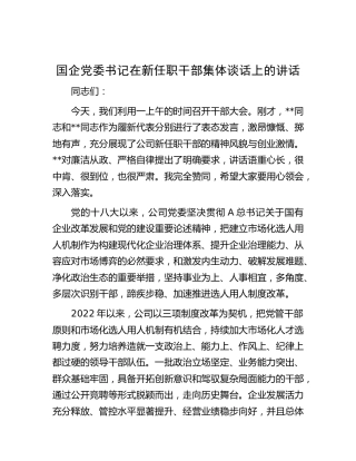 在新任职干部集体谈话上的讲话（公司）