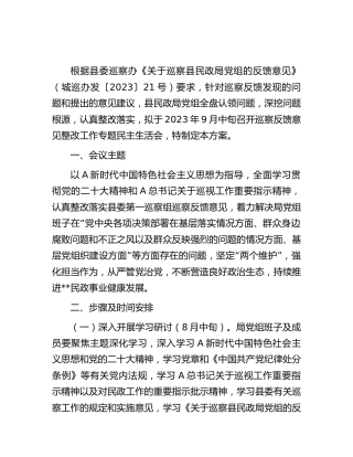 民政巡察反馈意见整改工作专题民主生活会实施方案