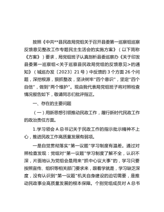 民政系统反馈意见整改专题民主生活会班子对照检查8400字