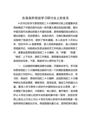 在县政府党组二十大学习研讨会上的发言
