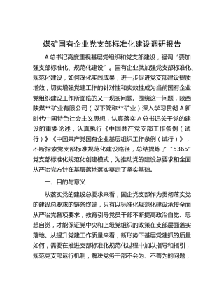 煤矿国企党支部标准化建设调研报告（公司）