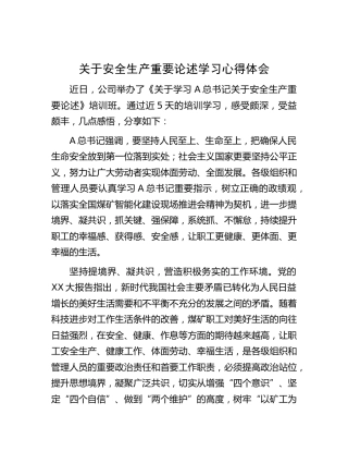 煤矿公司安全生产重要论述学习心得体会