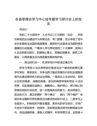 在县委中心组法治建设专题学习研讨会上的发言
