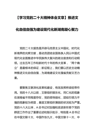 二十大心得体会：推进文化自信自强为建设现代化新湖南凝心聚力
