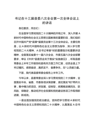 在县委全会上的讲话 (2)