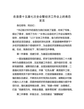 在县委全会暨经济工作会上的表态发言