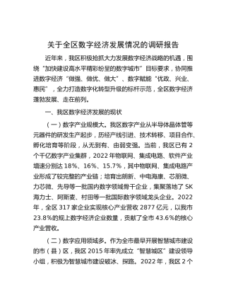 全区数字经济发展情况的调研报告
