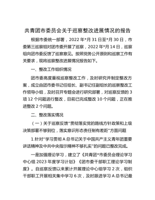 共青团巡察整改进展情况总结报告
