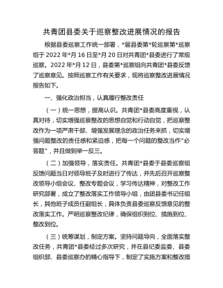 共青团县委关于巡察整改进展情况的总结报告