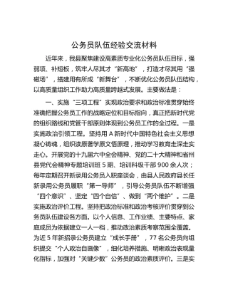 公务员队伍经验交流材料4