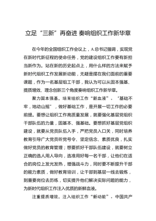 立足“三新”再奋进 奏响组织工作新华章