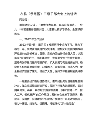 在县（示范区）三级干部大会上的讲话