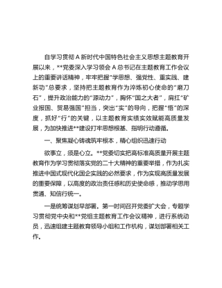 公司主题教育工作情况总结报告2300字