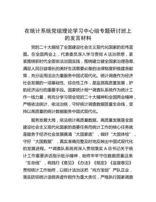 在统计系统党组理论学习中心组专题研讨班上的发言