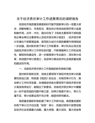 经济责任审计工作进展情况的调研报告