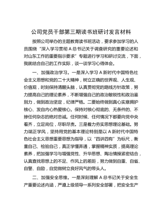 公司主题教育读书班（大兴调查研究）研讨发言1900字