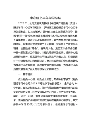 公司中心组上半年学习总结