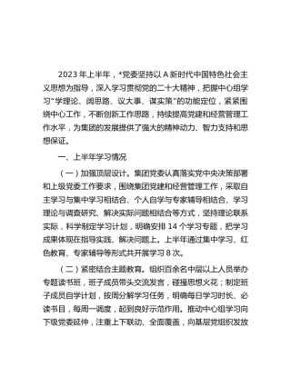 公司中心组2023年上半年学习情况总结