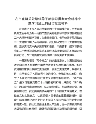 在市直机关处级领导干部学习贯彻大会精神专题学习班上的研讨发言
