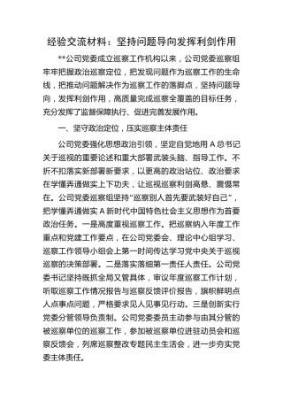公司巡察经验总结交流：坚持问题导向 发挥利剑作用