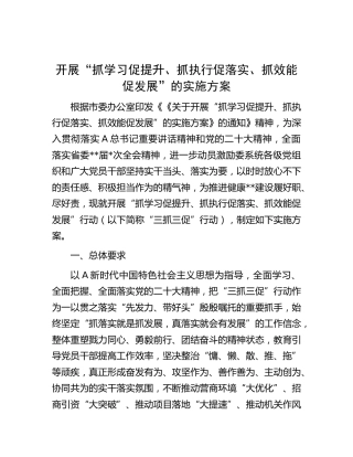 开展“抓学习促提升、抓执行促落实、抓效能促发展”（三抓三促）实施方案