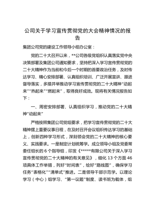 公司学习宣传贯彻党的大会精神情况总结报告2600字