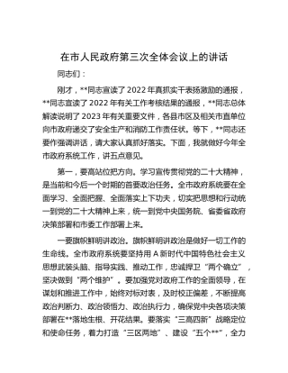 在市政府第三次全体会议上的讲话