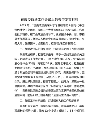 在市政法工作会议上的典型发言（政法委）