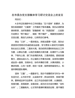 在市委办公室党支部集体学习研讨交流会上的发言