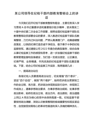 公司纪检监察干部队伍教育整顿会上的讲话