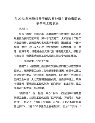 在市级领导干部和县处级主要负责同志读书班上的发言（推动新型工业化发展汇报）