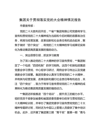 公司贯彻落实二十大精神情况总结报告